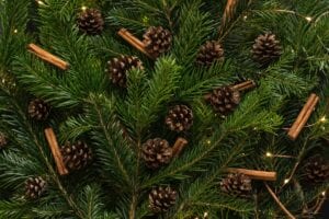 Holiday Tree & Pinecones